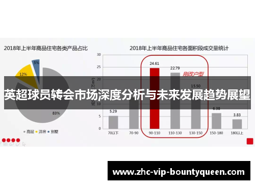 英超球员转会市场深度分析与未来发展趋势展望 英超球员转会市场深度分析与未来发展趋势展望