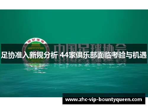 足协准入新规分析 44家俱乐部面临考验与机遇