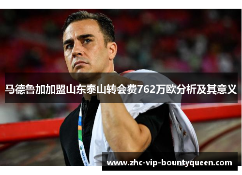 马德鲁加加盟山东泰山转会费762万欧分析及其意义