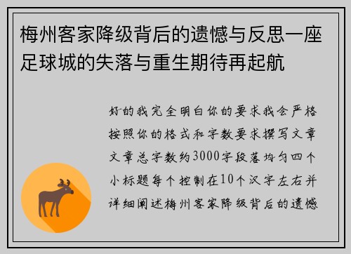 梅州客家降级背后的遗憾与反思一座足球城的失落与重生期待再起航 梅州客家降级背后的遗憾与反思一座足球城的失落与重生期待再起航