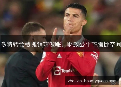 多特转会费摊销巧做账，财政公平下腾挪空间